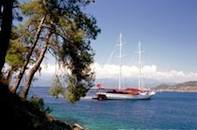Seylan Hanna_1