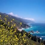 Stay in boutique hotels along the Big Sur, California